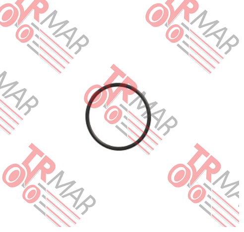 O-Ring