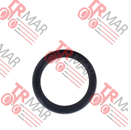O-Ring