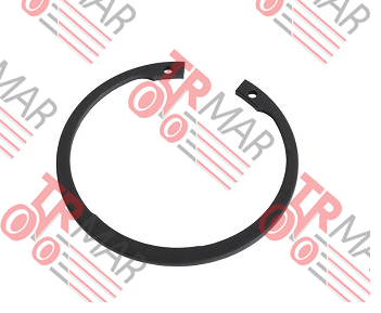 Snap Ring