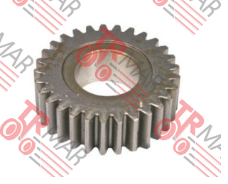Planetary Gear Z:29