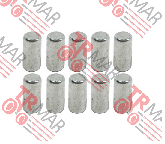 Needle Roller
