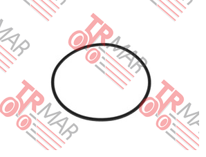 O-Ring