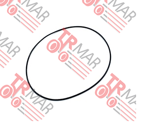 O-Ring