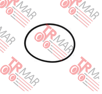 O-Ring