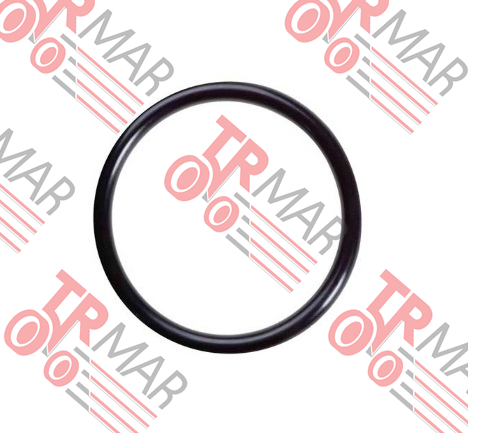 O-Ring