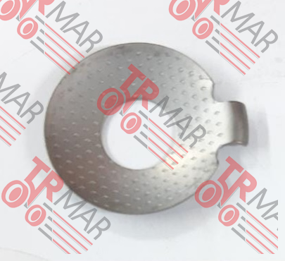 Thrust Washer