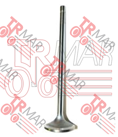 Exhaust Valve STD
