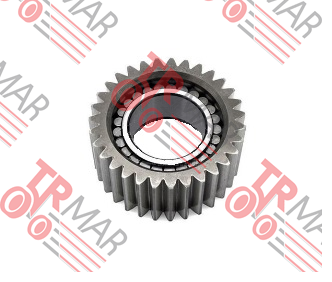 Planetary Gear - W/Bearing