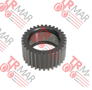 Planetary Gear