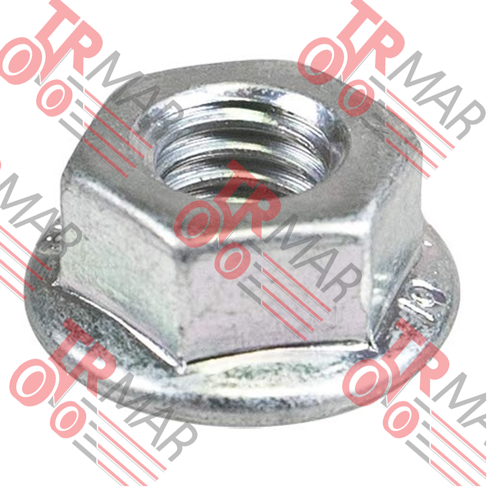 Hexagonal Flange Nut - OEM