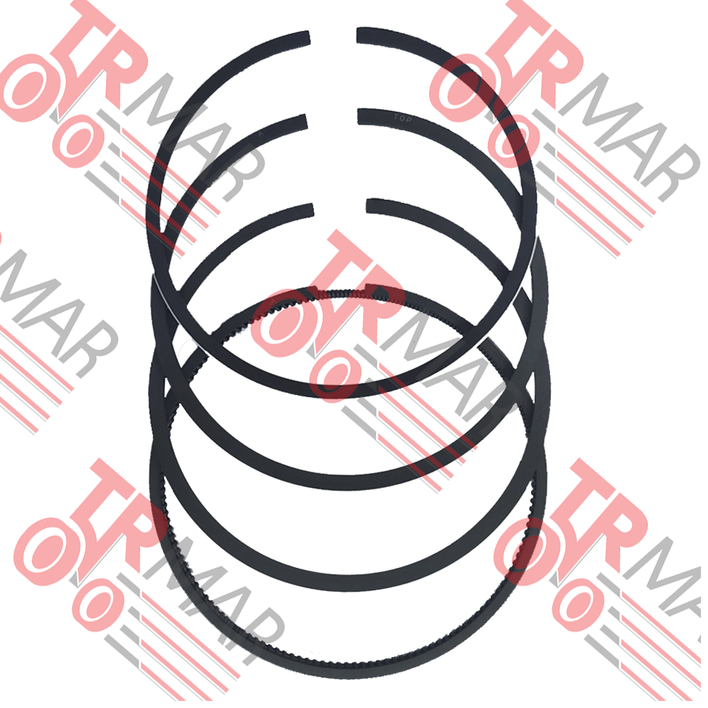 Ring Set 100,50mm.