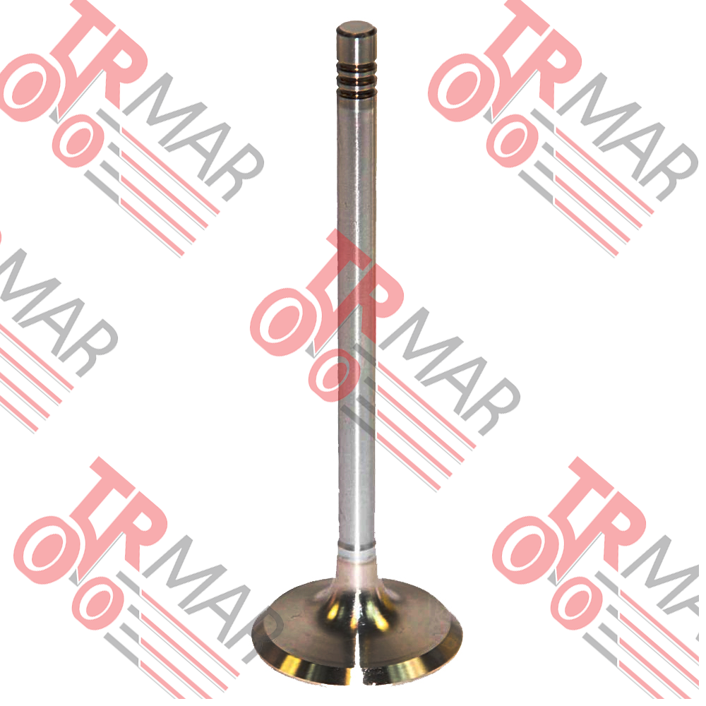 Valve Inlet