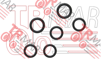 Subap O-Ring