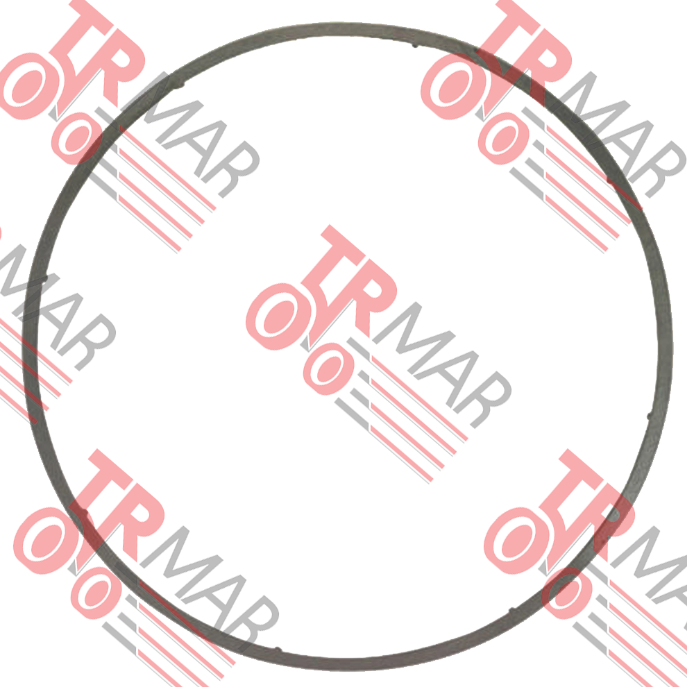 Cylinder Shim 1mm.