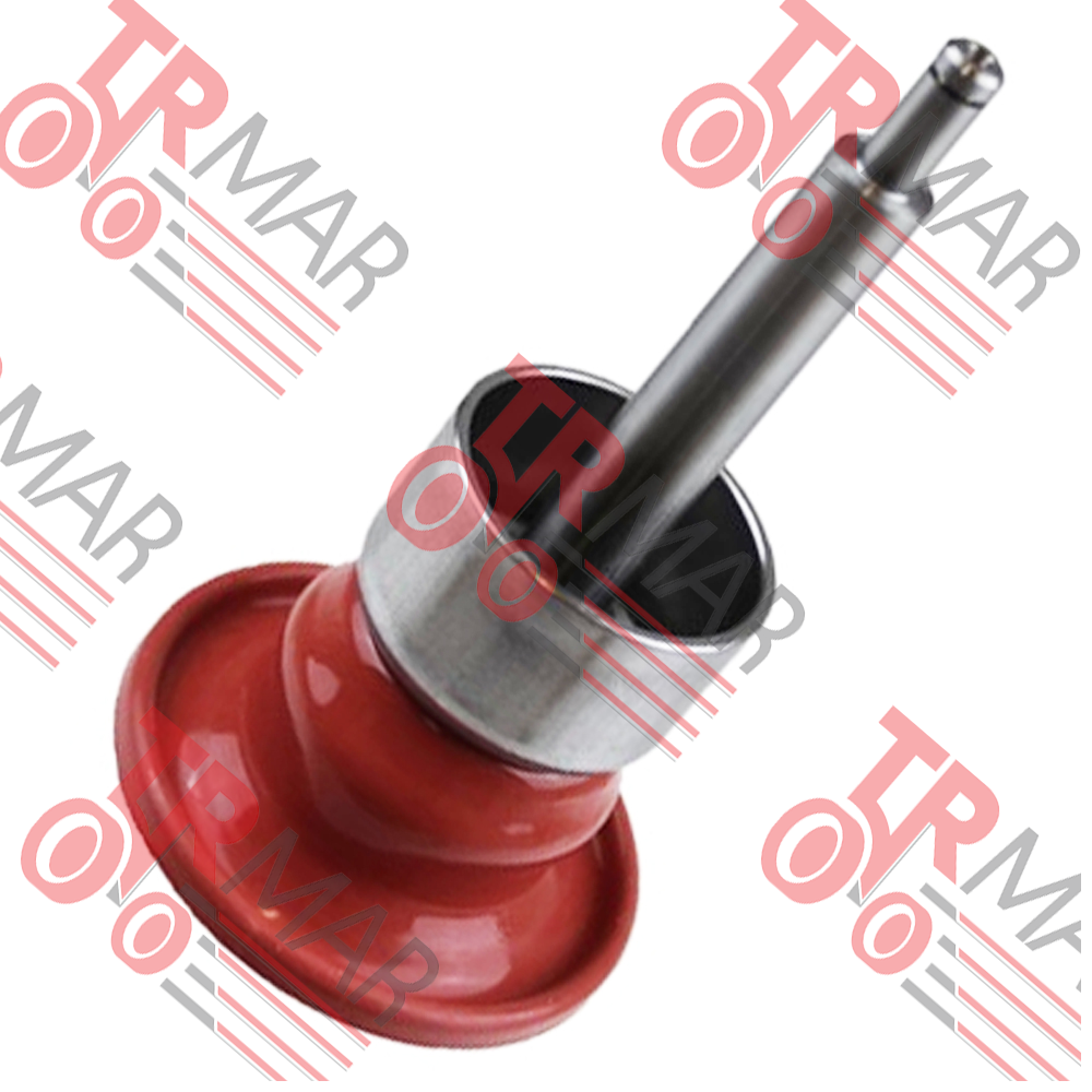 Diaphgram