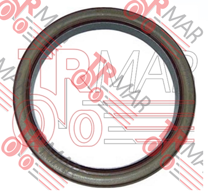 Crankshaft Rear Seal