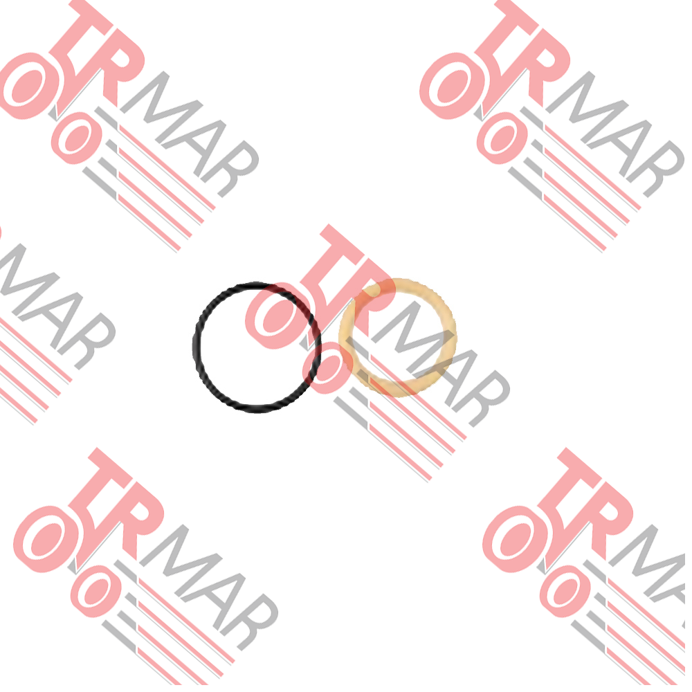 Valve Oring Kit
