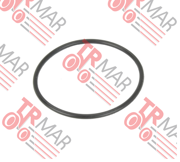 Krank O-Ring