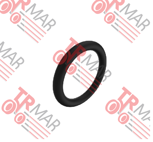 O-Ring