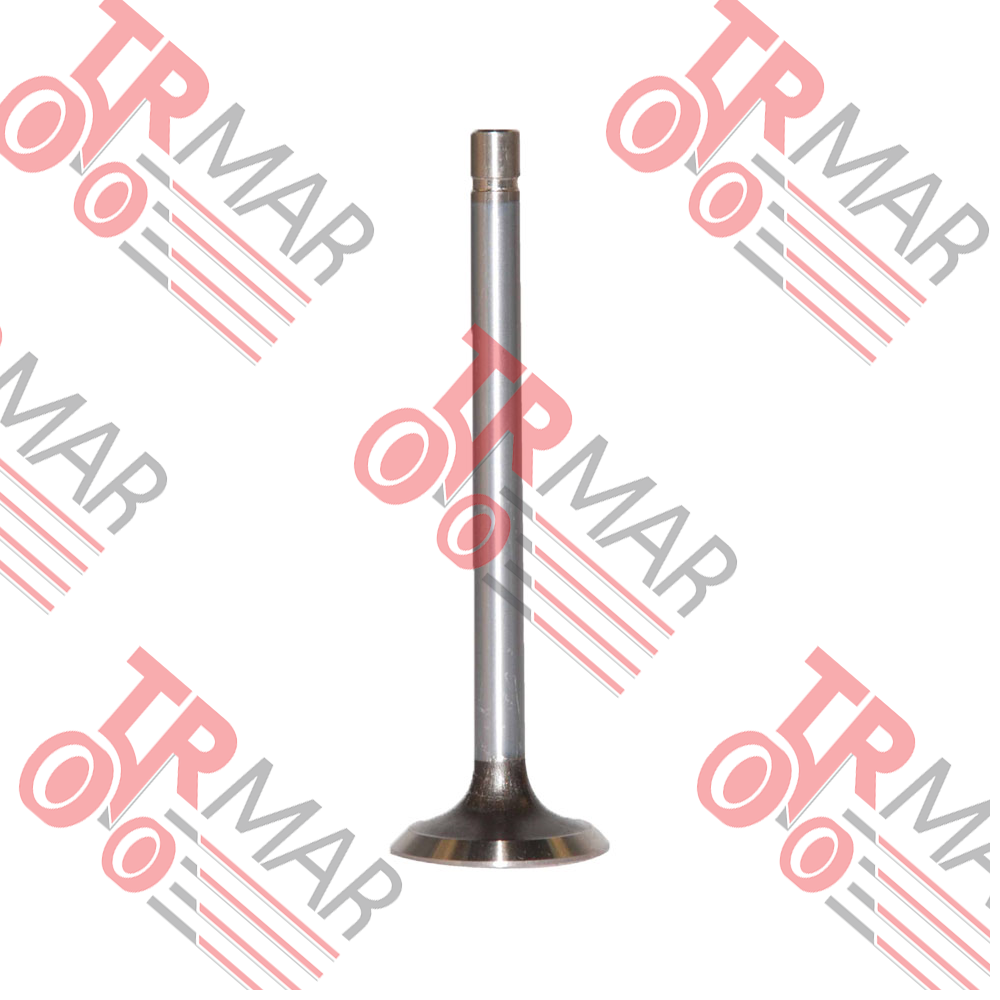 Exhaust Valve +0.003