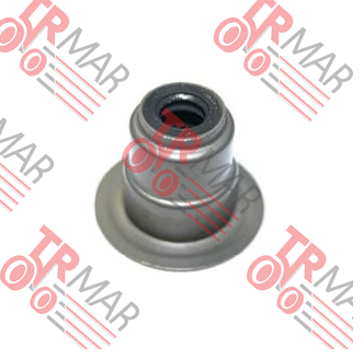 Valve Seal