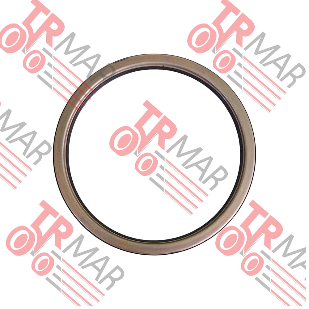 Oil Seal