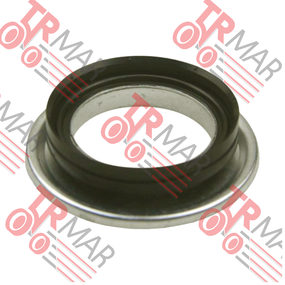 Oil Seal