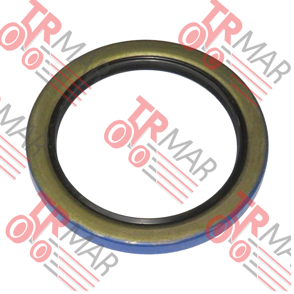 Oil Seal