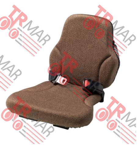 Buddy Seat