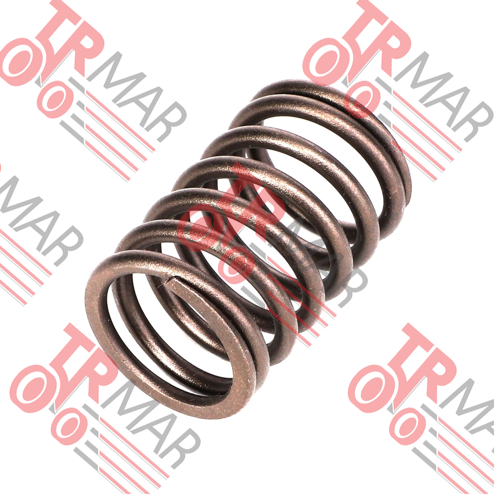 Subap Yayı Dış Tek Oem