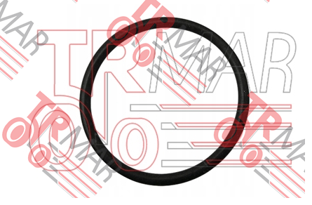 O-Ring