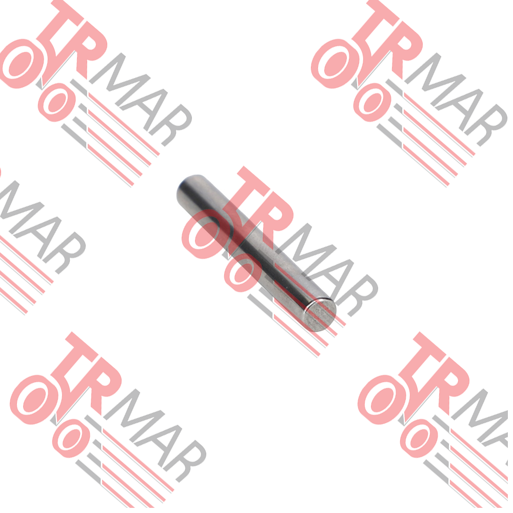 Needle Roller