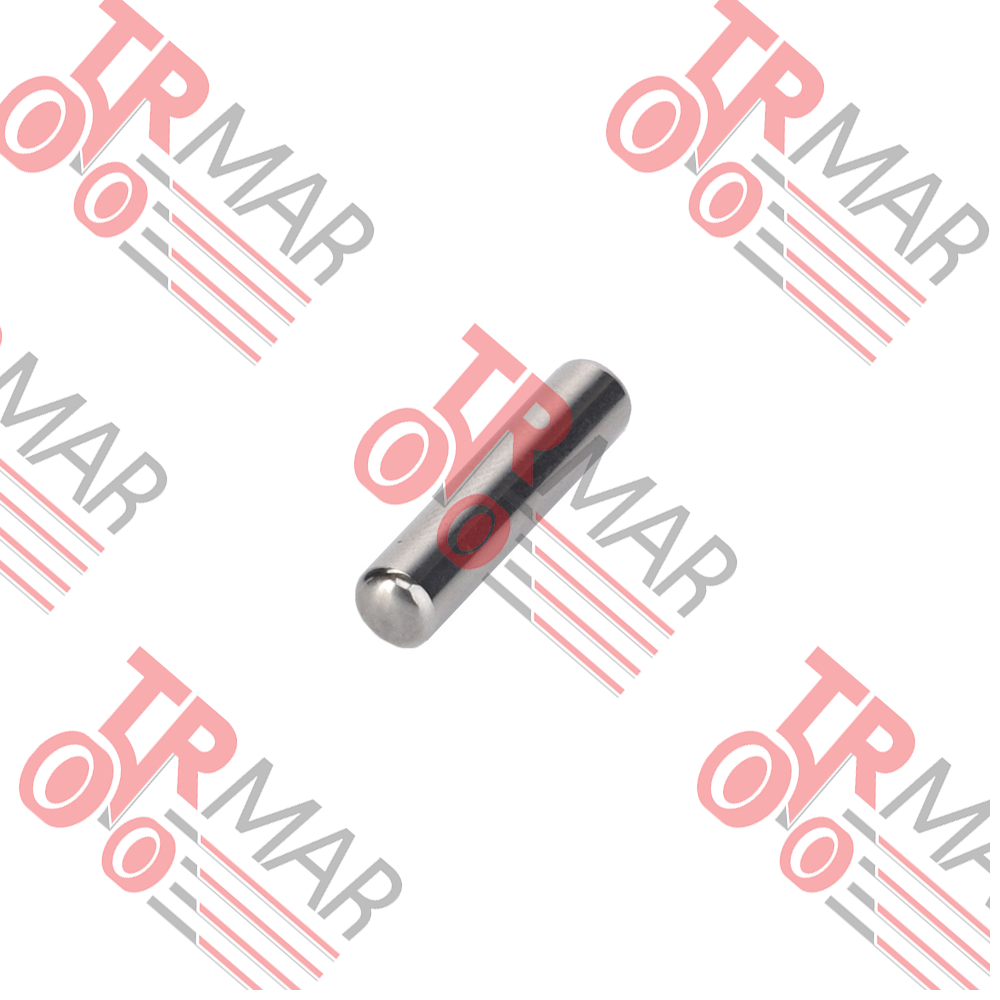 Needle Roller