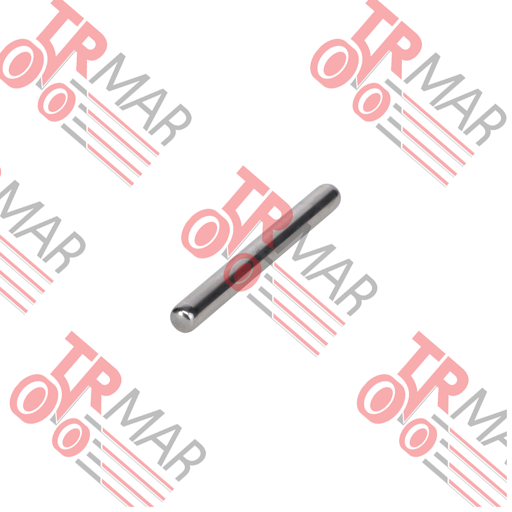 Needle Roller