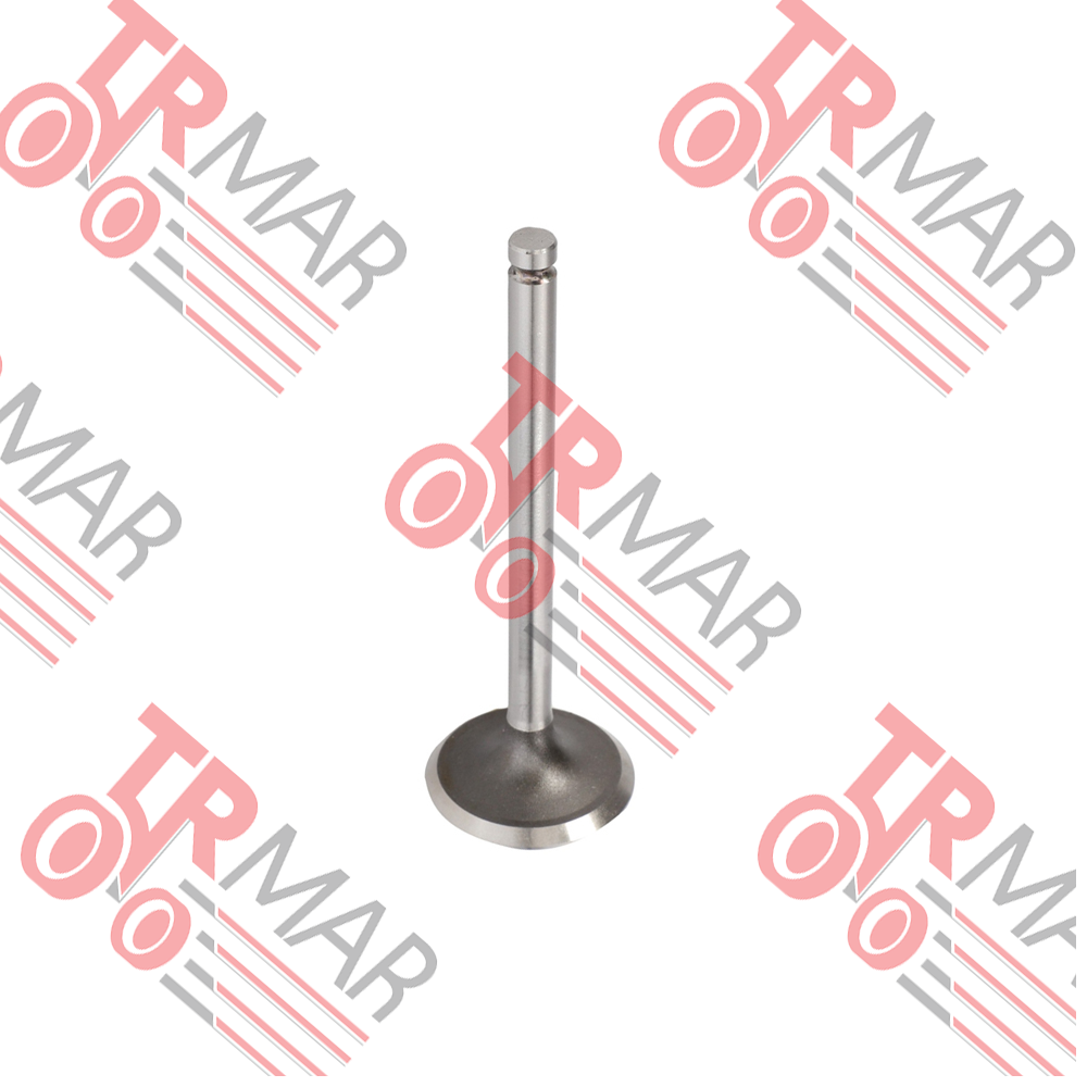 Intake Valve Std.