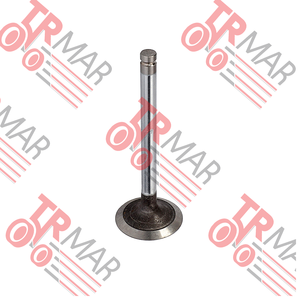Intake Valve Std.