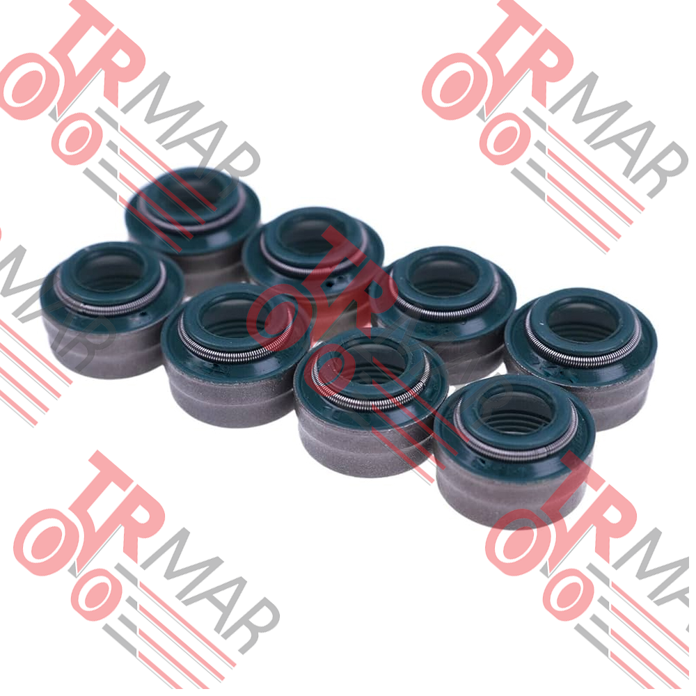 Valve Seal W/Plate