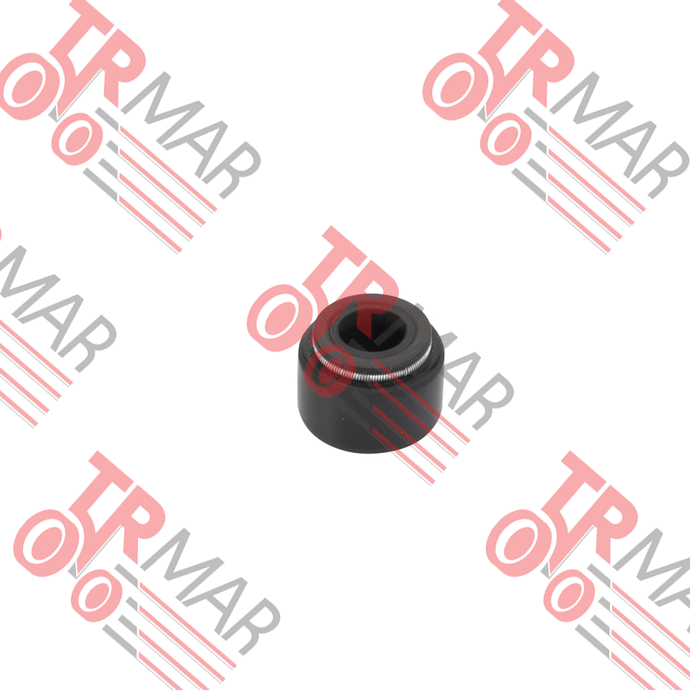 Valve Spring